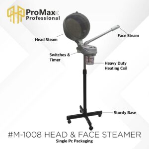 Professional Salon Face And Head Steamer