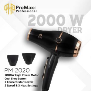 ProMaxx Hair Dryer 2020