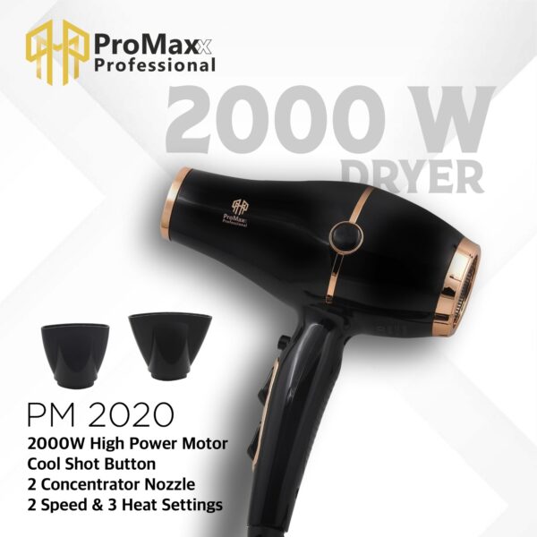 ProMaxx Hair Dryer 2020